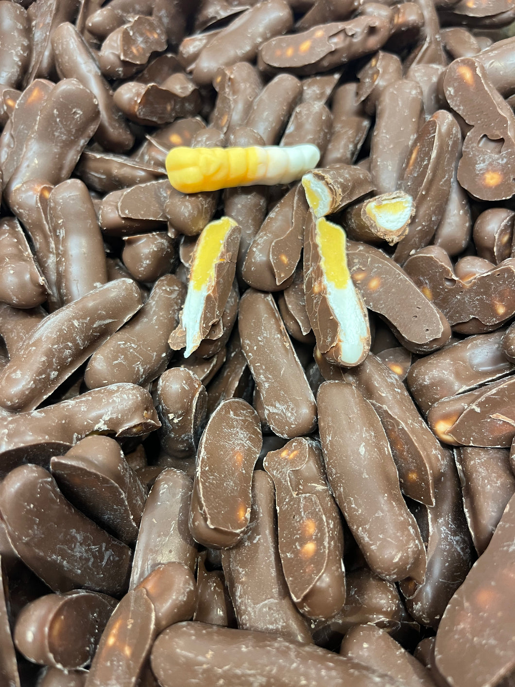 Choc Coated Witchetty Grubs