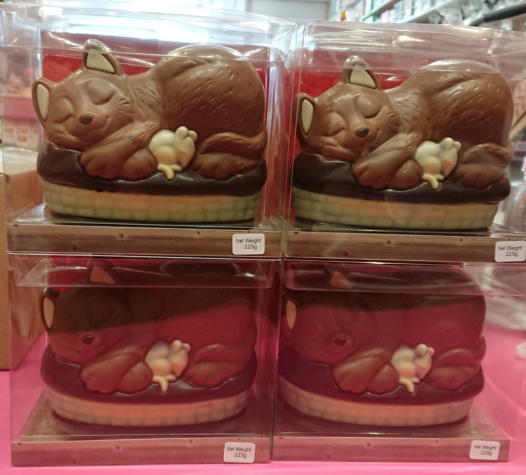 Chocolate Cat Gift Box